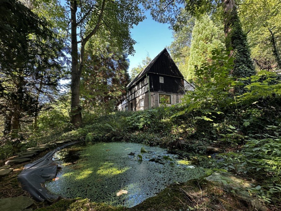 IMG_5954 Einfamilienhaus Waldheim / Rauschental
