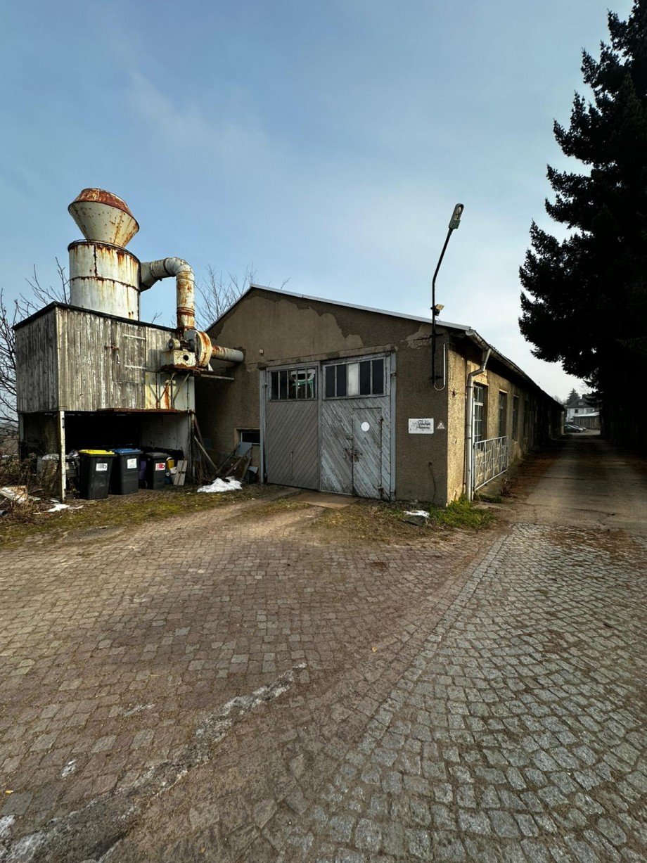 PHOTO-2026-02-03-14-09-08 (1) Halle Waldheim