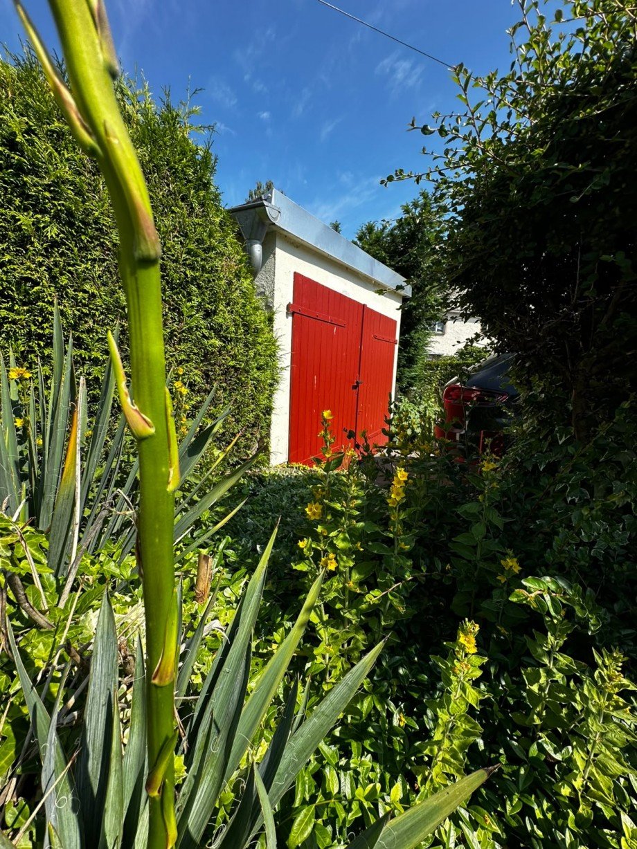 PHOTO-2026-06-23-15-26-54 Einfamilienhaus Hartha / Seifersdorf