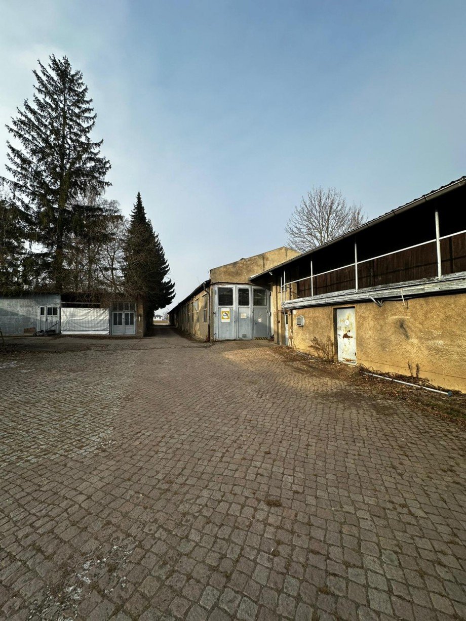 PHOTO-2026-02-03-14-09-06 (2) Halle Waldheim