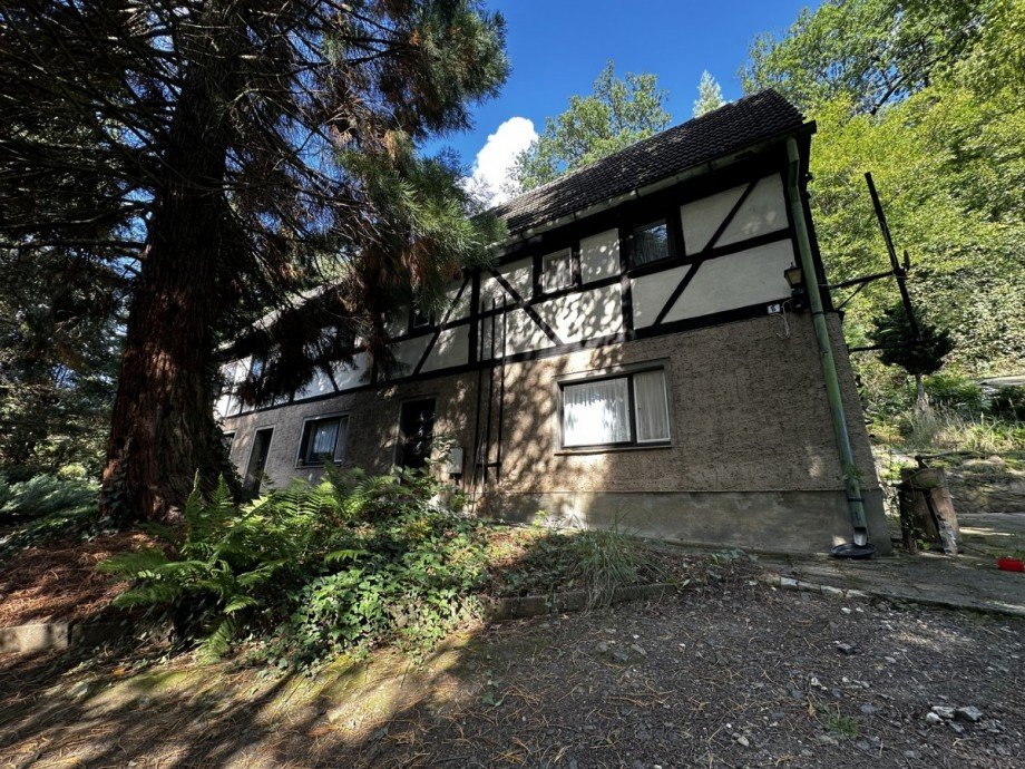 IMG_5903 Einfamilienhaus Waldheim / Rauschental