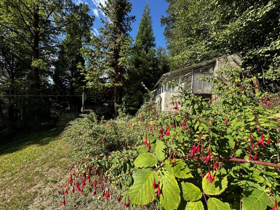 IMG_5931 Einfamilienhaus Waldheim / Rauschental