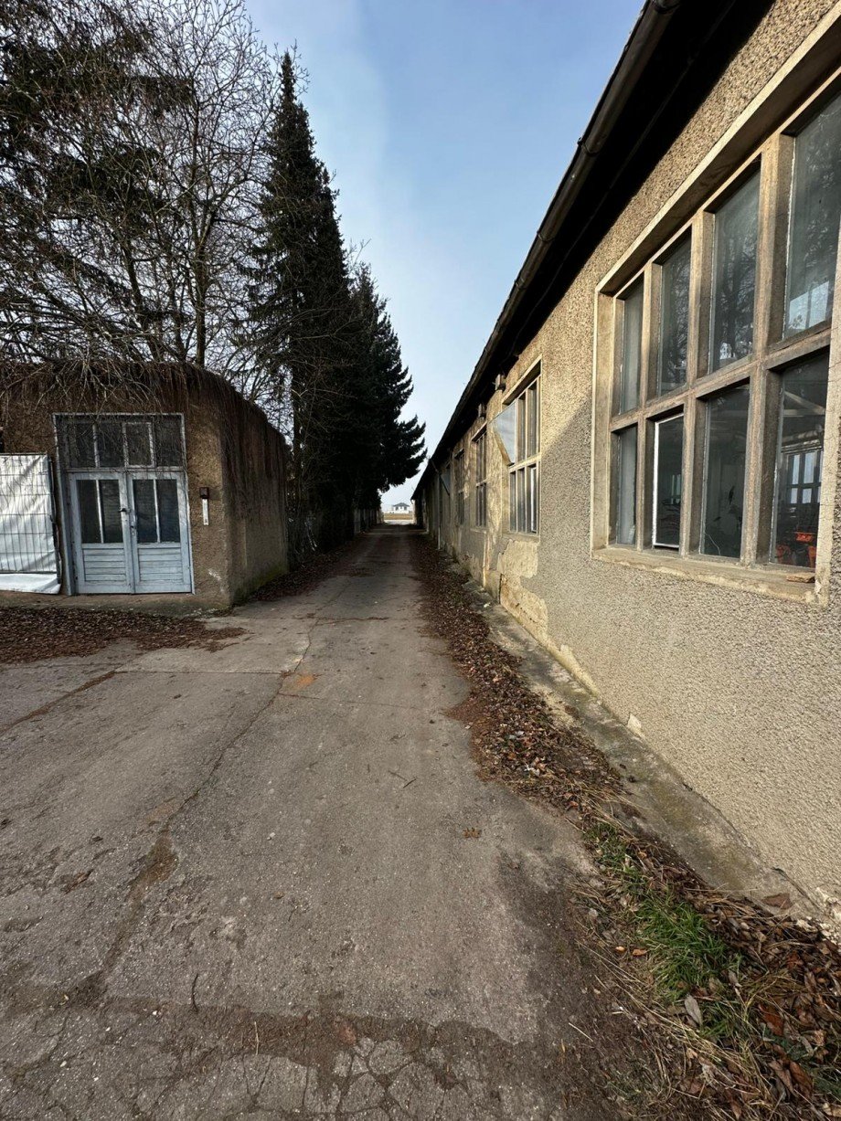 PHOTO-2026-02-03-14-09-07 Halle / Lager / Produktion Waldheim