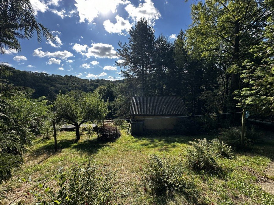 IMG_5916 Einfamilienhaus Waldheim / Rauschental