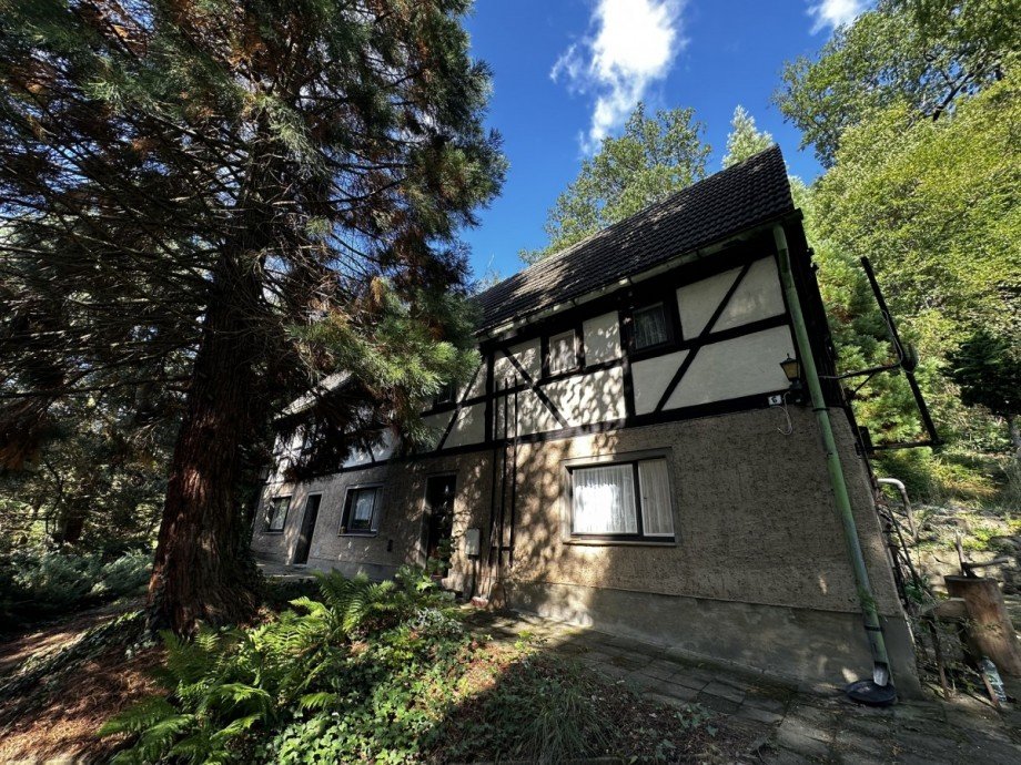 IMG_5892 Einfamilienhaus Waldheim / Rauschental