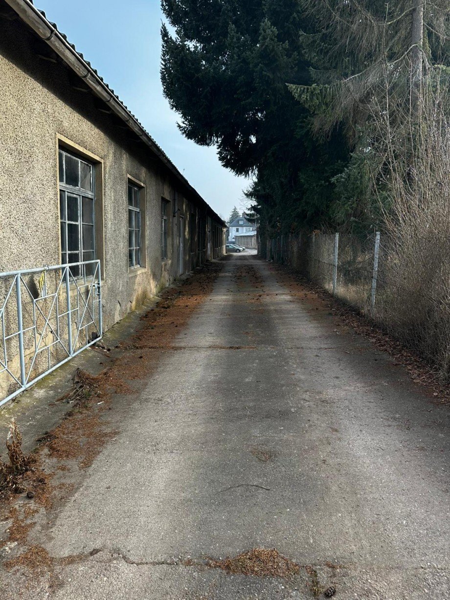 PHOTO-2026-02-03-14-09-08 Halle / Lager / Produktion Waldheim