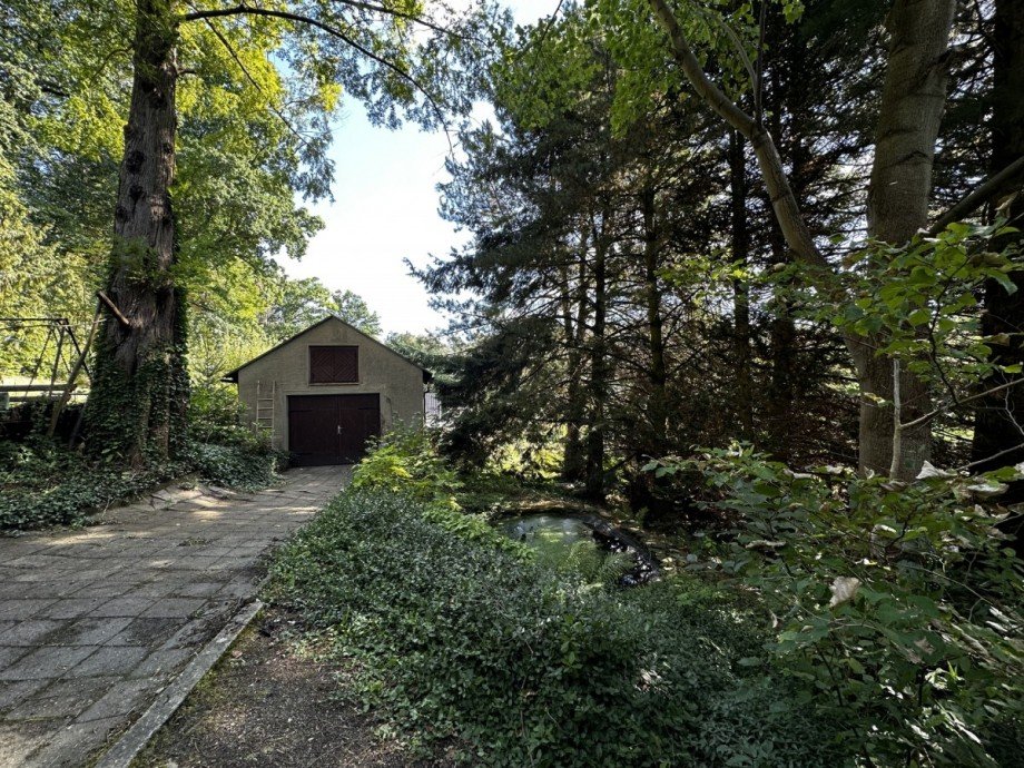 IMG_5906 Einfamilienhaus Waldheim / Rauschental