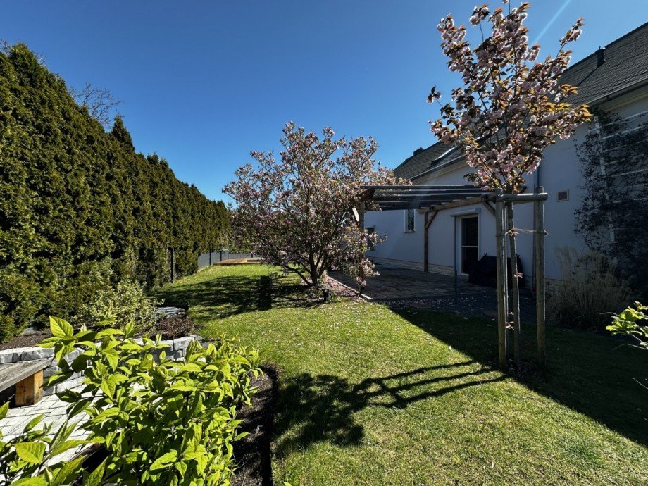 Ansicht Einfamilienhaus D�beln